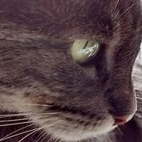 552d871ada0f1 avatar