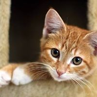 552d8e2a565e6 avatar