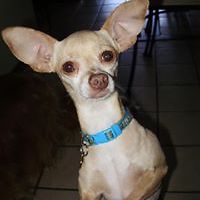 552d981066491 avatar