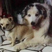 552dabff805d1 avatar