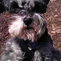 552db10750420 avatar