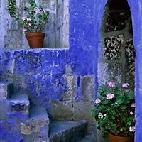 552e1ef7c0f21 avatar