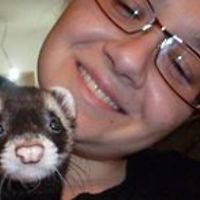 552e56b045627 avatar