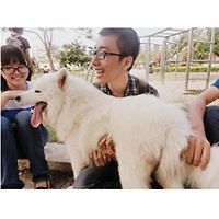 552e581941172 avatar