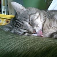 552e5c890ca01 avatar