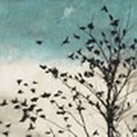 kellytankersley avatar