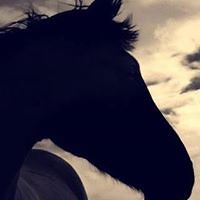 552e863b2ce59 avatar