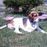 552ebe932f764 avatar