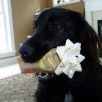 552ed65064715 avatar