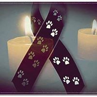 552ef75027fb2 avatar