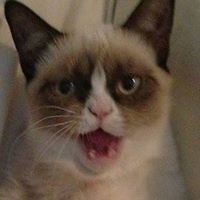 552f28f5d50a8 avatar