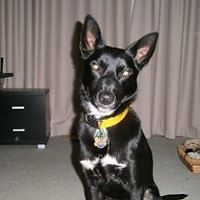 552f612bcc1f3 avatar