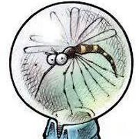 552f7f1672884 avatar