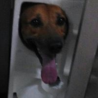 552f9348b28ff avatar