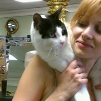 552fb565c1072 avatar