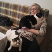 552fd70161346 avatar