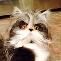 552fe20e4a979 avatar