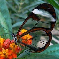 55300276d61d6 avatar