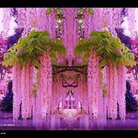 5530077329818 avatar