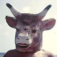 55303185b724d avatar