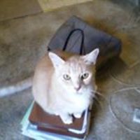 553033d2d32fa avatar