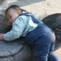 553048f4b200a avatar