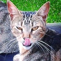 5530537806048 avatar