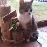 55306d4311094 avatar