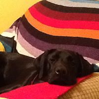 553097c78a50a avatar