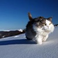 5530a6ca4e97c avatar