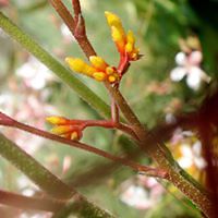 5530f696e1df9 avatar