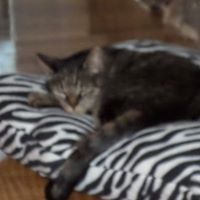 553128e0247c4 avatar