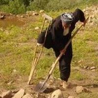 5531305411db8 avatar