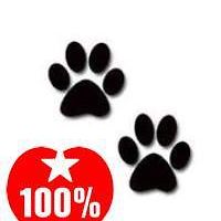 553135ea5b4fc avatar