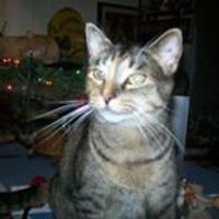 55313d98c7aa9 avatar