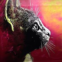 553163af03777 avatar