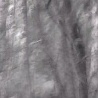 5531785d19467 avatar