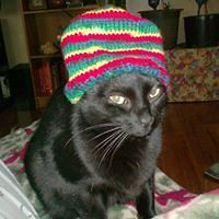 5531851b71888 avatar