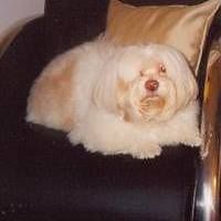 55318d4cd3255 avatar