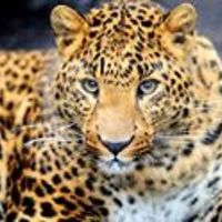 55319422ad439 avatar