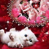 55319533a167c avatar