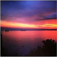 5531a3181edbd avatar