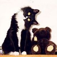 5531a7998a881 avatar