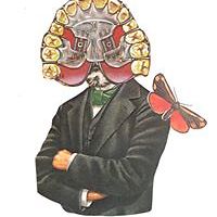 55321345090ec avatar