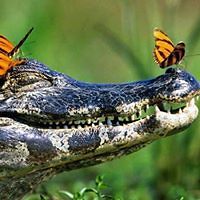 5532bcde83d78 avatar