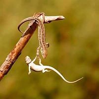 5533373b1ccbf avatar