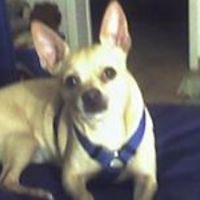 55339ce0e3ef7 avatar