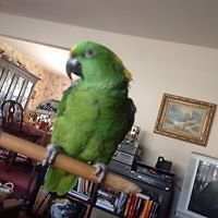 5533ae8beb816 avatar