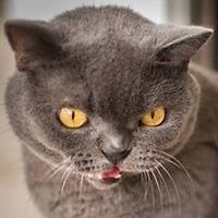 5533f3cc1f35d avatar