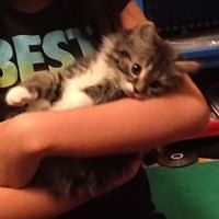 55341e5cc6f5b avatar